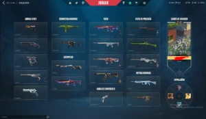 conta de valorant R$2500 gastos