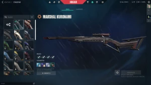 conta de valorant R$2500 gastos