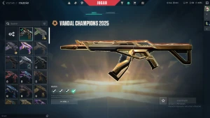 conta de valorant R$2500 gastos