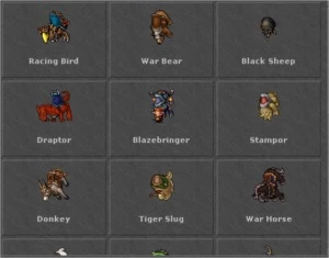 Royal Paladin - Tibia