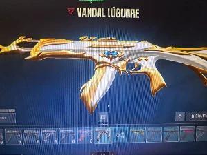 🧨Conta com Champions 2022 e karambit bananinha🧨 - Valorant