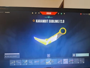 🧨Conta com Champions 2022 e karambit bananinha🧨 - Valorant
