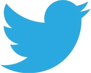 100 followers no Twitter - Redes Sociais