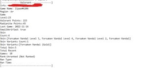 CHECKER DE VALORANT FULL CAPTURE