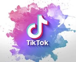 Conta TikTok com 1000 Seguidores