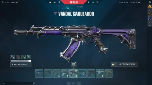 Conta Valorant Com Skins Nfa, Envio Imediato