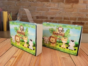 Kit Colorir e Modelar Safari com Caixinha Maleta - Artesanato e Personalizados