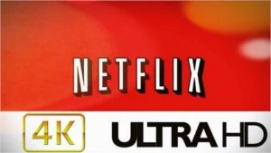 NETFLIX PREMIUM ( CONTA VITALICIA ) - Assinaturas e Premium