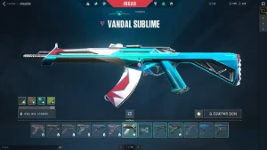 Conta Valorant Quase 1k Gasto (988,00)