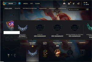 Conta prata 1 com 38 Champs e 22 Skins (Ex Platina) - League of Legends LOL