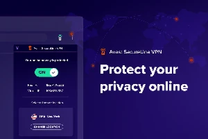 Avast SecureLine VPN - 1 Ano - Outros