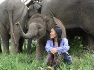 Por DFG: Instituto Elephant Nature Park - Doações
