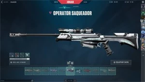 acc Valorant RADIANTE ( CONTA FULL ACESSO )