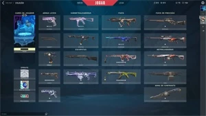 Conta valorant com várias skins