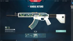 Conta valorant com várias skins