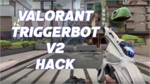 Valorant Triggerbot - Outros