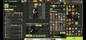 Dofus contas 200 sem certificado