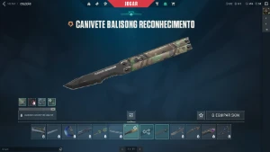 Conta Valorant muitas Skins