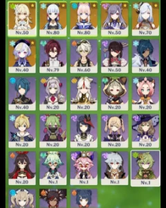 [Ayaka E Keqing + Assinatura / Perma Freeze] Ar 43 - Genshin Impact