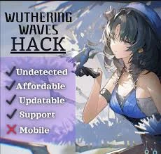 Hack Wuthering Waves, Indetectável E Privado - Others