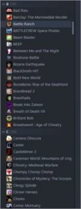Steam