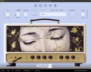 Neural DSP Archtypes - Plugins