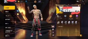 Free fire conta