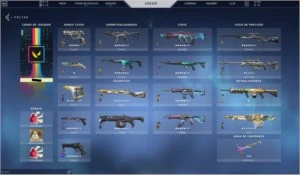 Conta Valorant - Várias Skins e Pacotes de Skins