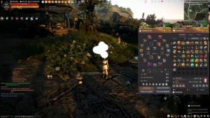 Conta black desert 675gs, recheada de items para sair HOJE