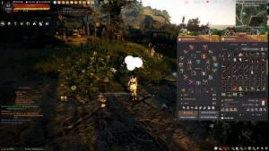 Conta black desert 675gs, recheada de items para sair HOJE