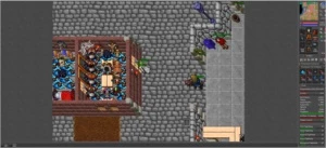 VENDO ELDER DRUID 244 6 DIAS VOUCHER - Tibia