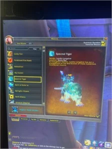 2 contas wow shadownlands spectral armas lendarias - Blizzard