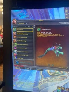 2 contas wow shadownlands spectral armas lendarias - Blizzard