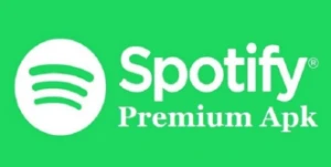 Spotify premium vitalício (leia descrição) - Assinaturas e Premium