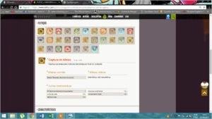 FECA DE AGI LVL 200 ESCROLLADO SET FULL SERVER CROCABULIA - Dofus