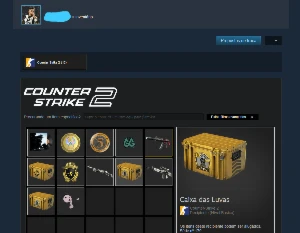 Conta Steam Cs 2 Desde Cs Go - Counter Strike