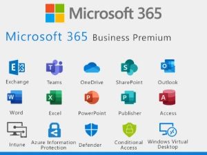 Office 365 Business Premium – Painel| 1TB | 25 Usuários - Softwares and Licenses