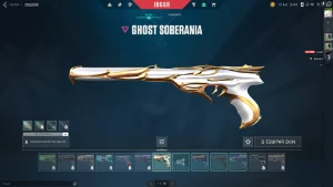 Conta Valorant *Muitas Skins*