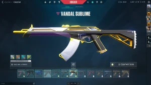 Conta de valorant full acesso - várias skins