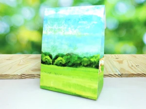 Sacolinha Safari Personalizada em Kraft ou Triplex - Artesanato e Personalizados