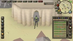 osrs main account - Outros