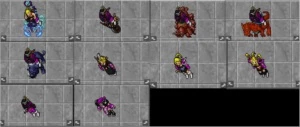 ED 504 (CELEBRA) - Tibia