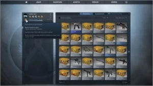 Conta Steam 14 Jogos | Cs Go, Left 4 Dead 2 E Outros.
