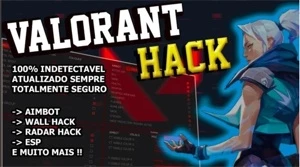 HACK VALORANT - TRIGGERBOT/NO RECOIL/AUTO BHOP/E MAIS!