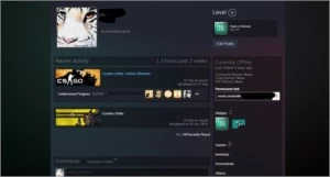 CONTA STEAM 16 ANOS - COM MEDALHA DE 10 E 5 ANOS CSGO - Counter Strike