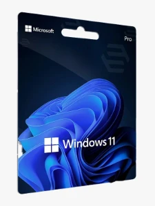 Windows 11 Pro - Softwares and Licenses