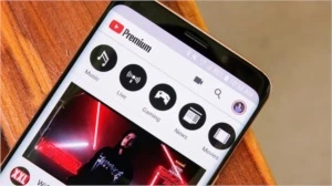 YouTube Premium (Sem propaganda/Tela minimizada/Vitalício) - Assinaturas e Premium