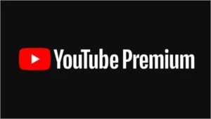 YouTube Premium (Sem propaganda/Tela minimizada/Vitalício) - Assinaturas e Premium