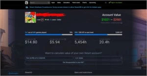 CONTA STEAM 8 ANOS 348 JOGOS + INVENTARIO
