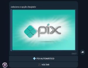 Bot Telegram Python Revenda De Seguidores Smm